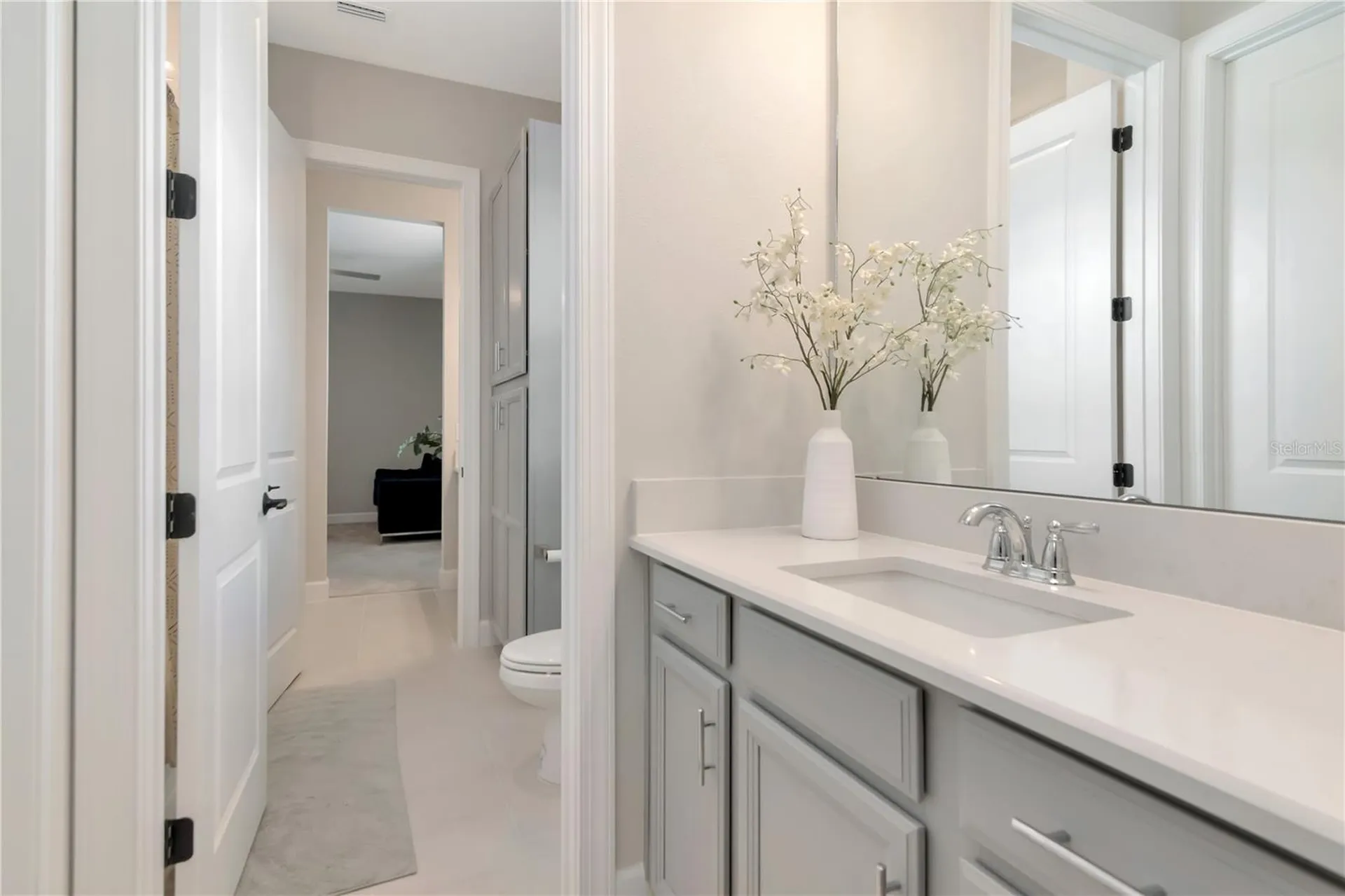 2686 Meander Cove Wesley Chapel FL 33543