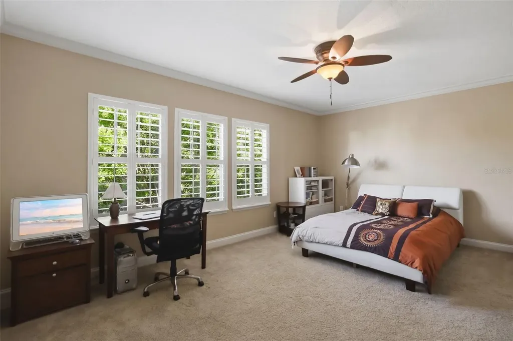 907 Pawstand Road Celebration FL 34747