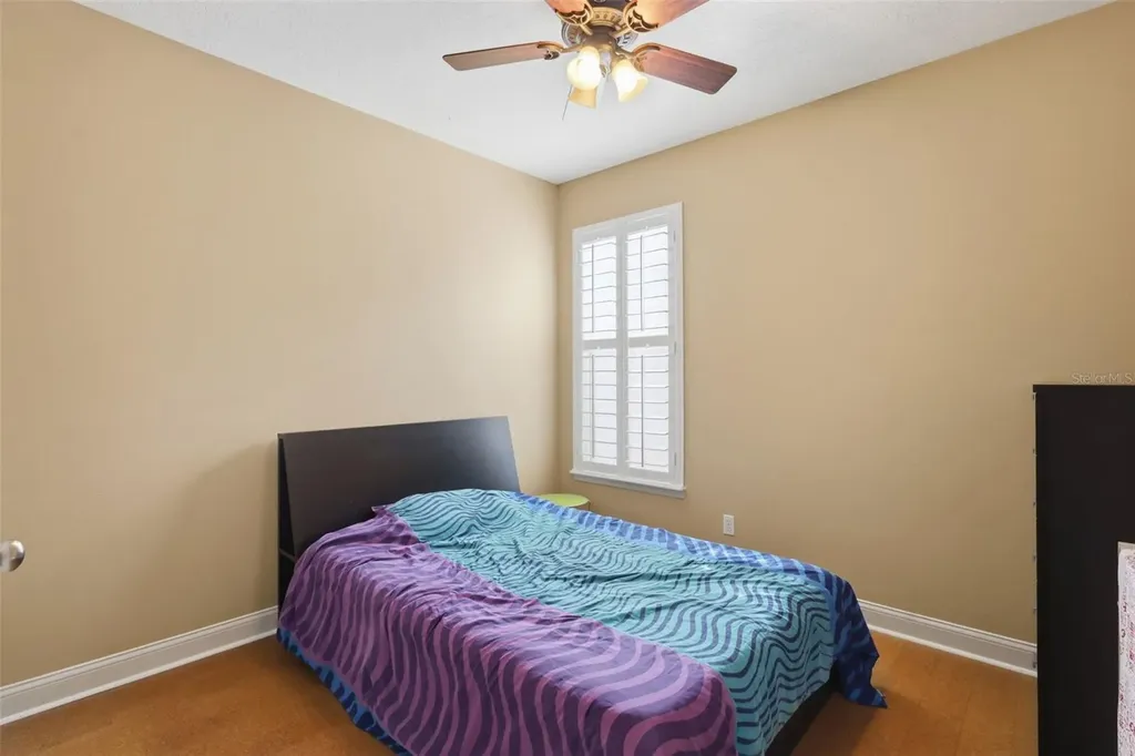 907 Pawstand Road Celebration FL 34747