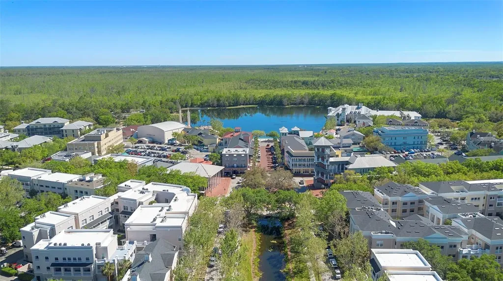 907 Pawstand Road Celebration FL 34747
