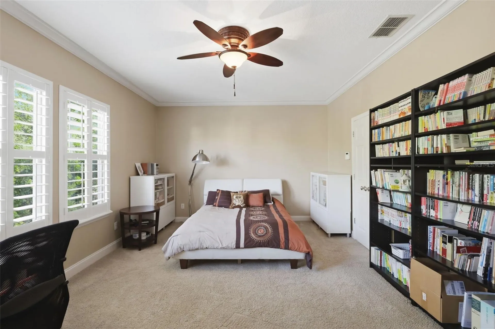 907 Pawstand Road Celebration FL 34747
