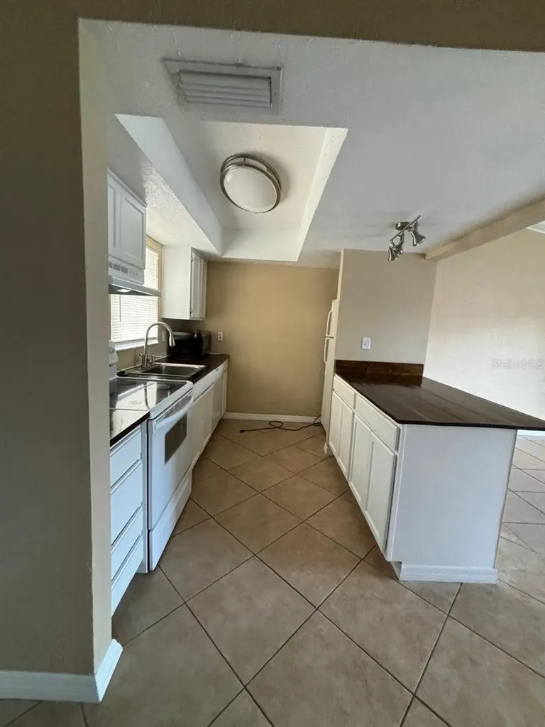 5109 Lawnton Court Tampa FL 33624