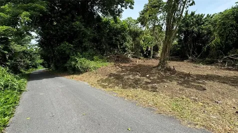 Bo Cidral Pr-111 San Sebastian PR 00685