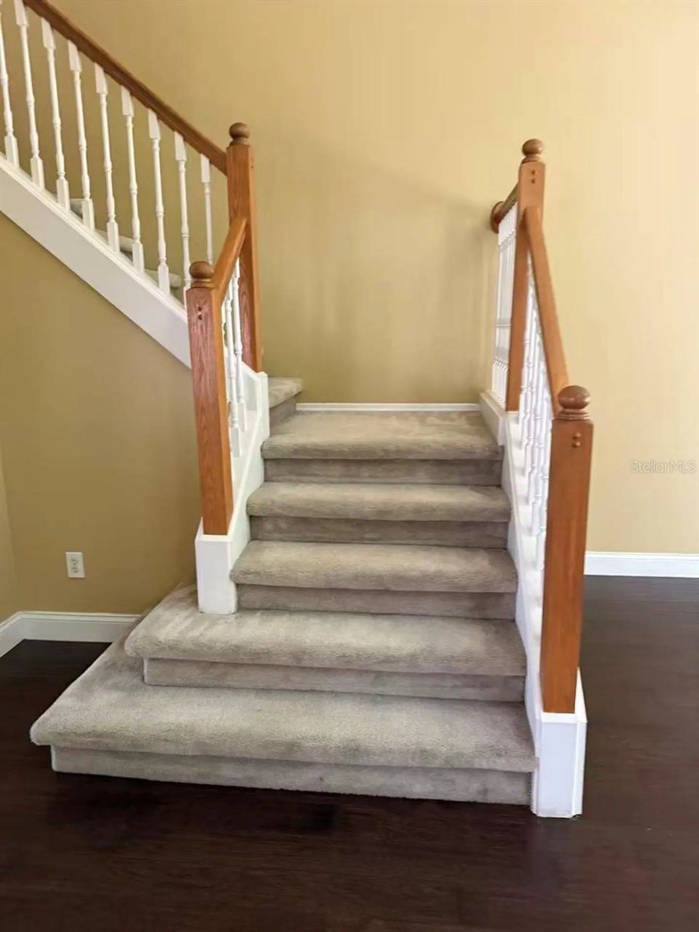 1746 Mandavilla Drive Orlando FL 32824