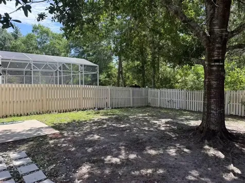 1746 Mandavilla Drive Orlando FL 32824
