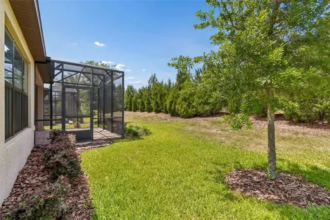 2159 Palm Tree Drive Kissimmee FL 34759