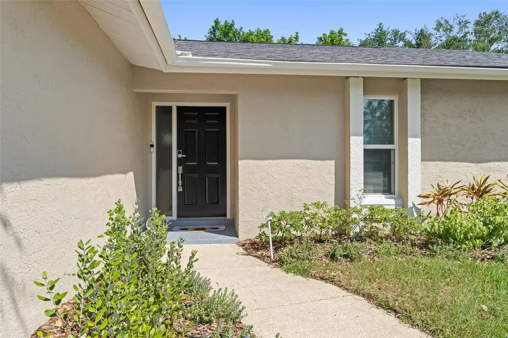 3298 Orchard Drive Palm Harbor FL 34684