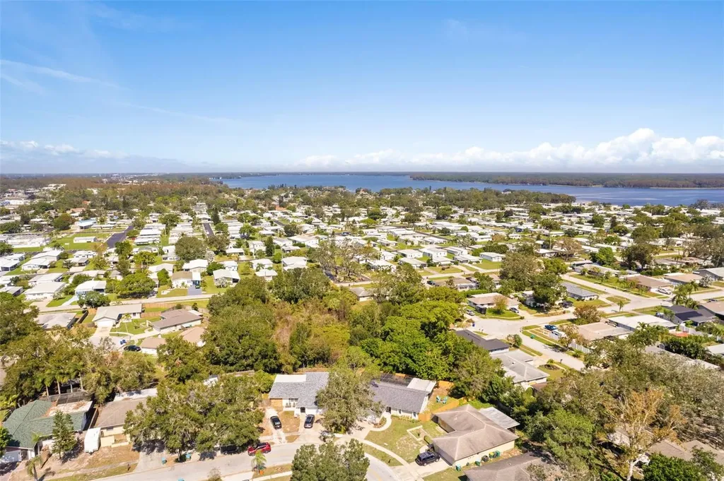 3298 Orchard Drive Palm Harbor FL 34684