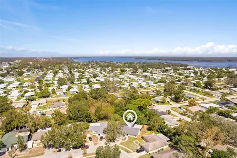 3298 Orchard Drive Palm Harbor FL 34684
