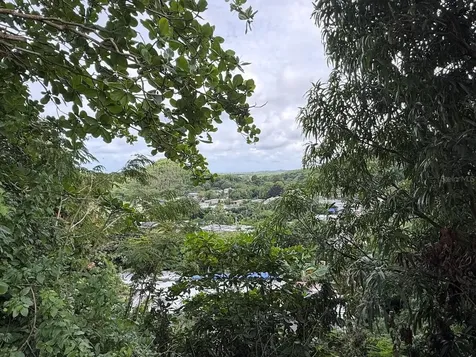 52 A Comm. Bajandas, Pr-925 Int. Humacao PR 00791