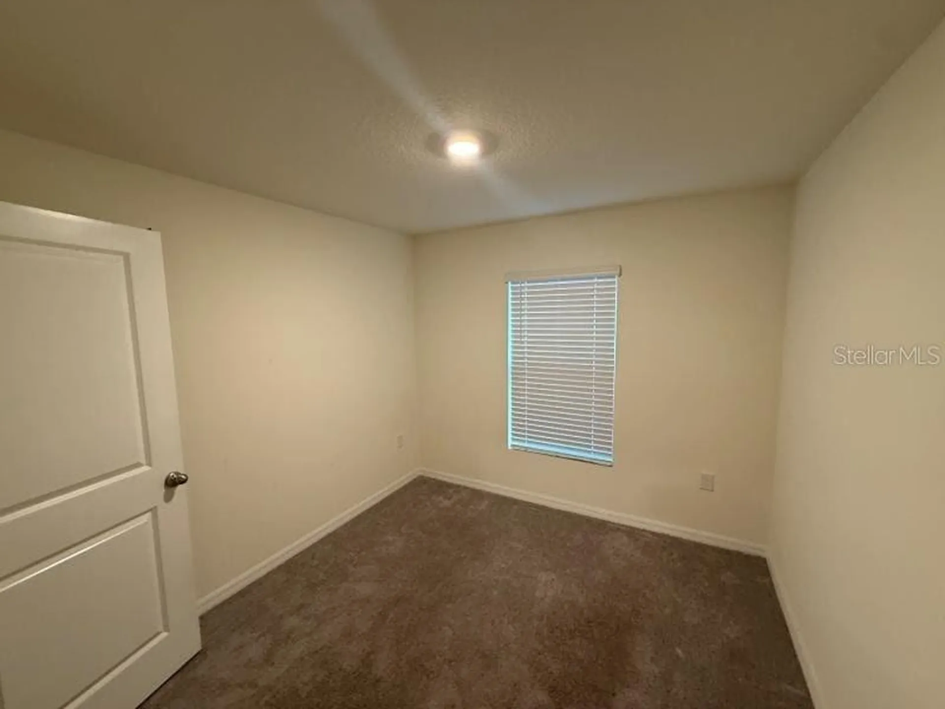 16717 Parker River Street Wimauma FL 33598