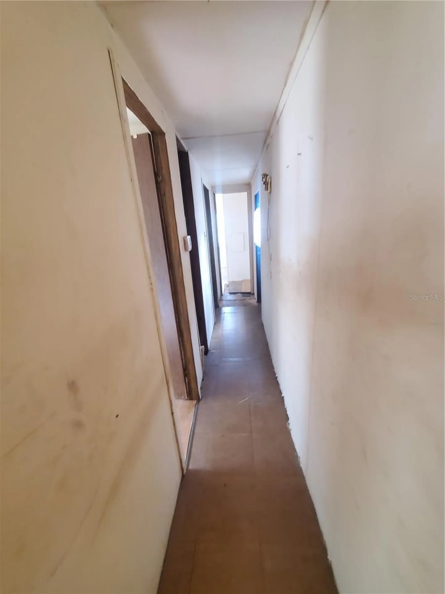 6945 SE 110th Street Belleview FL 34420