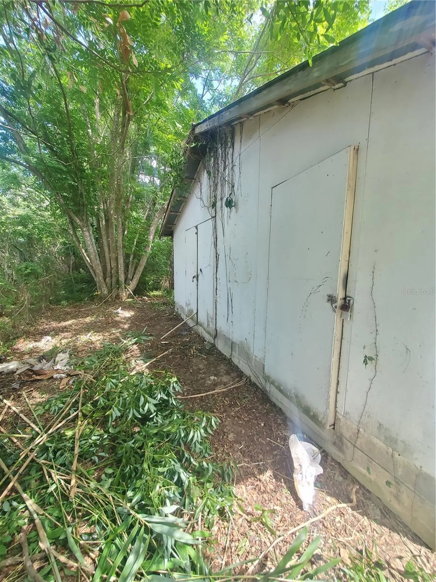 6945 SE 110th Street Belleview FL 34420