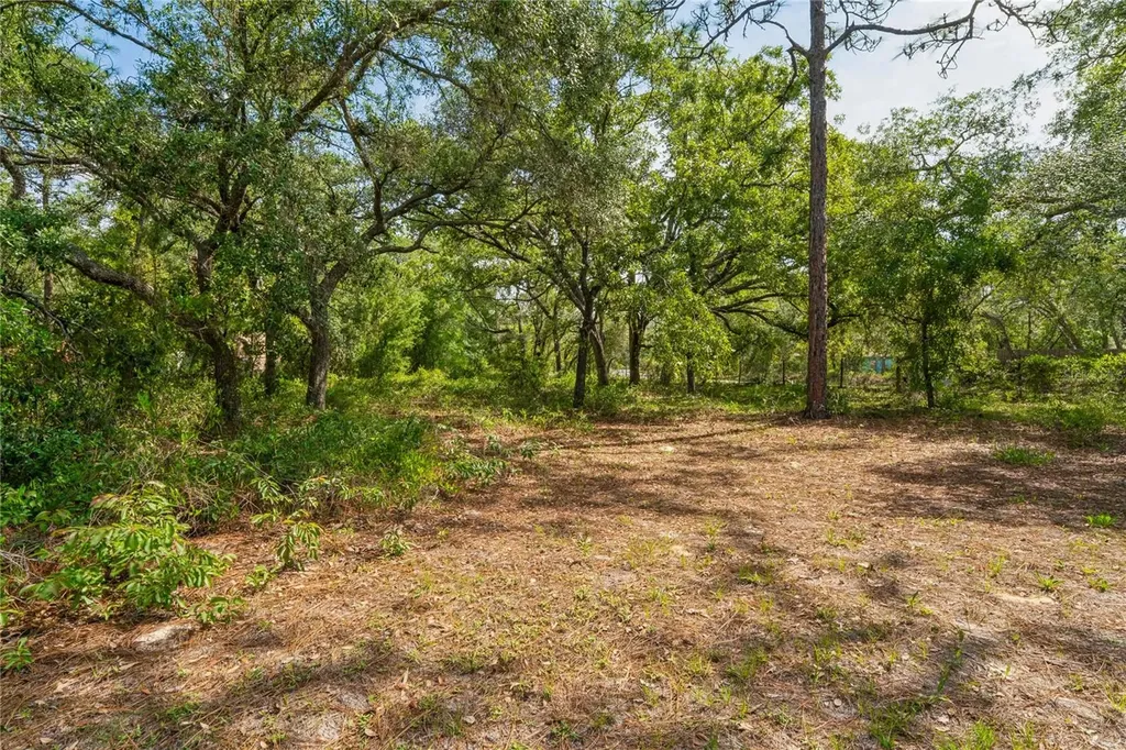 14345 Missouri Skylark Road Weeki Wachee FL 34614