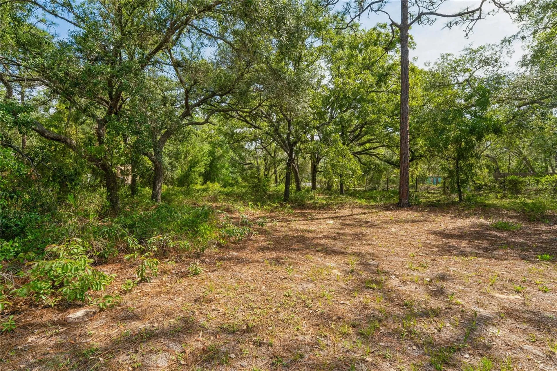 14345 Missouri Skylark Road Weeki Wachee FL 34614