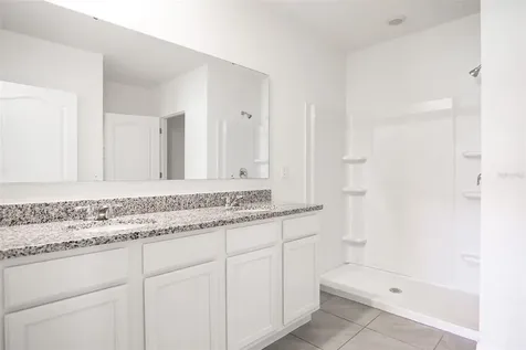 11364 Amber Ridge Drive Zellwood FL 32798
