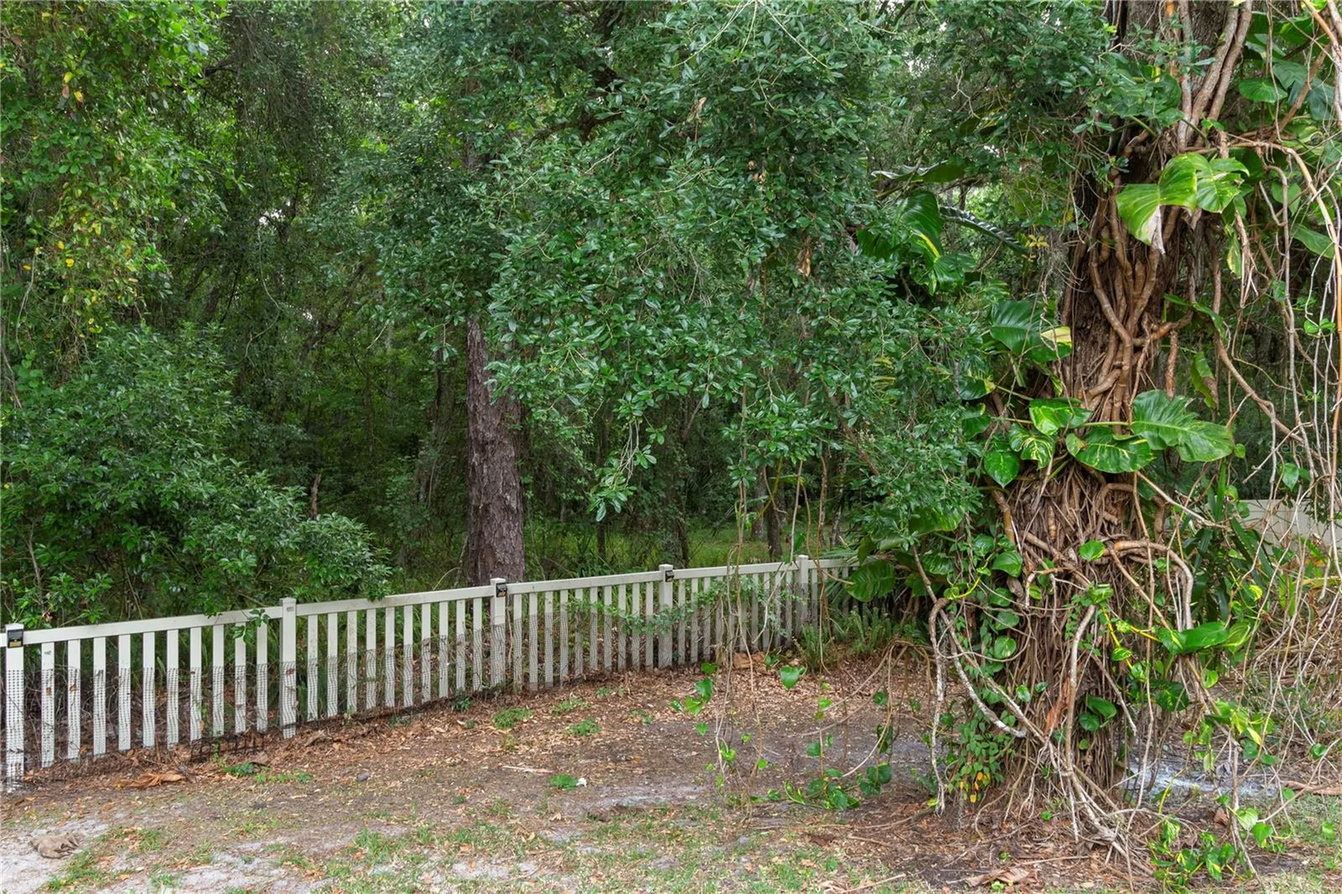 6936 Rocky Canyon Way Tampa FL 33625