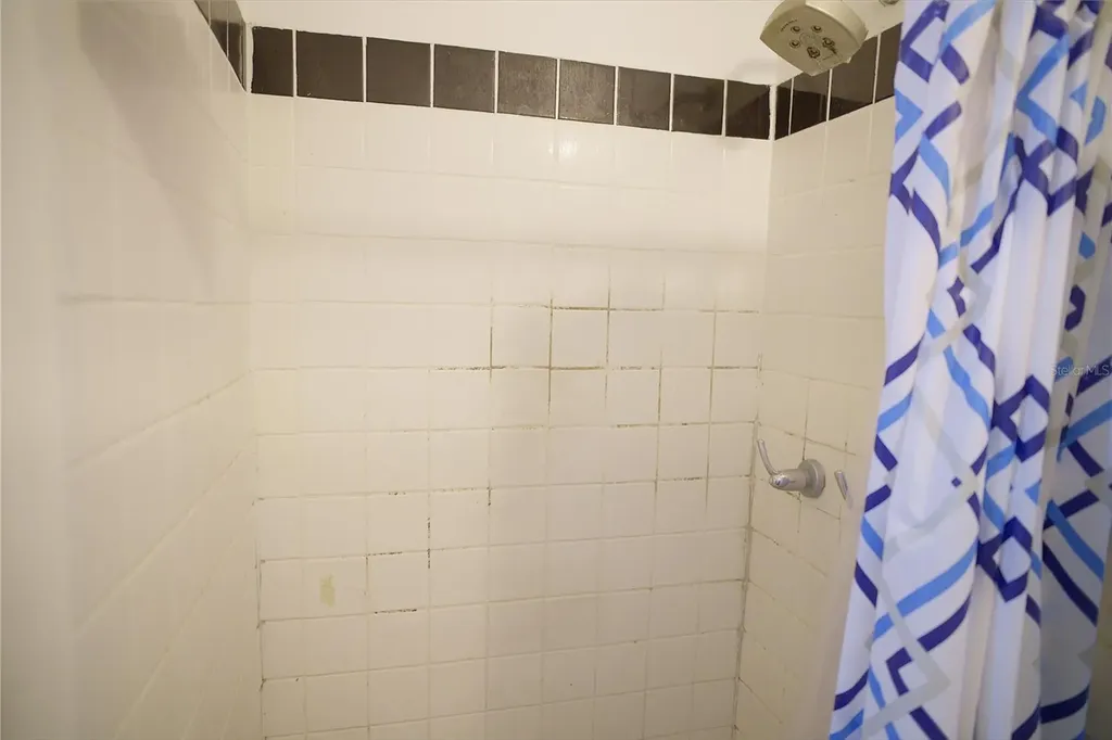 2119 S Fern Creek Avenue Orlando FL 32806