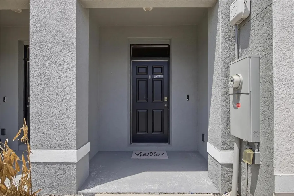 32389 Turtle Grace Loop Wesley Chapel FL 33545