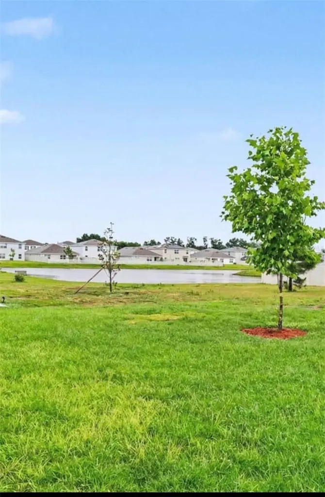 2836 Gumbo Limbo Drive Wimauma FL 33598