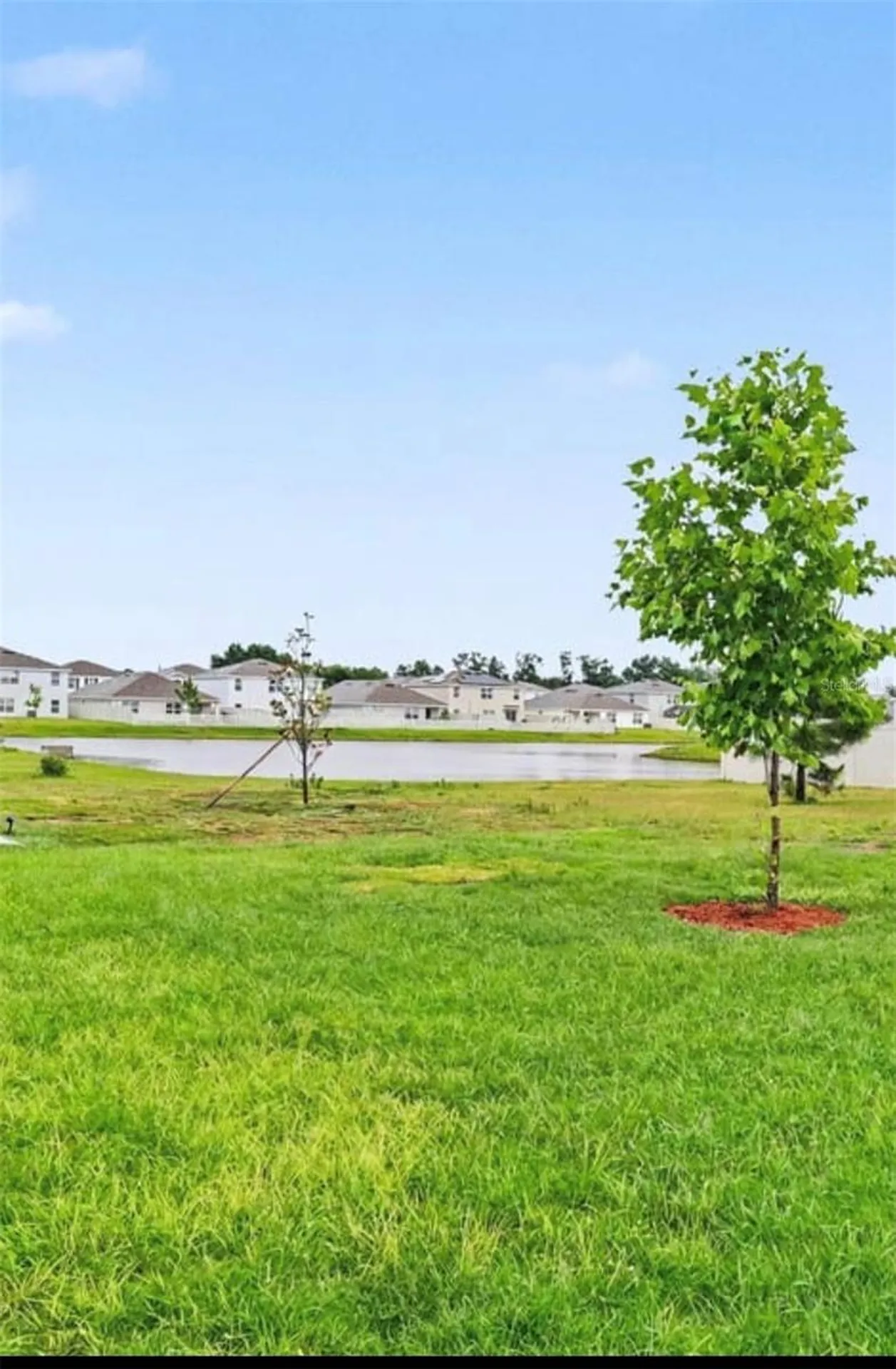 2836 Gumbo Limbo Drive Wimauma FL 33598