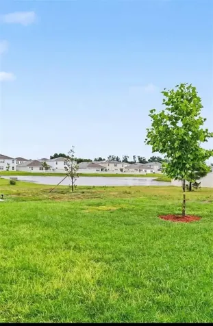 2836 Gumbo Limbo Drive Wimauma FL 33598