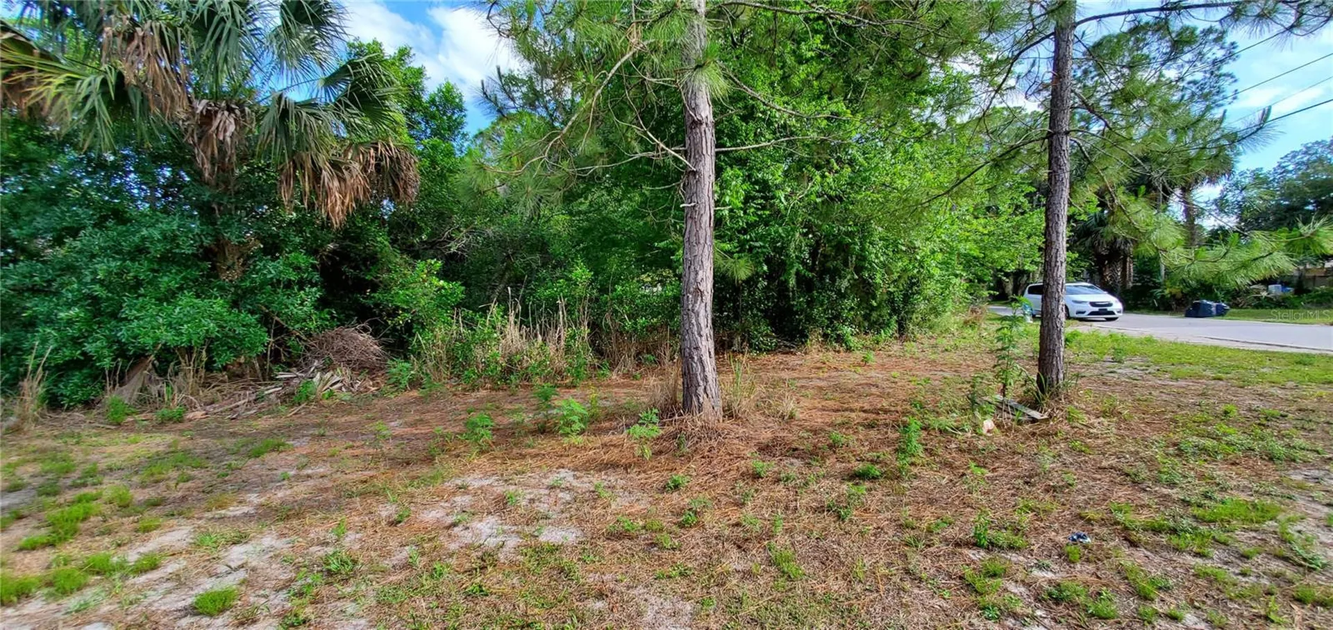 355 Chinaberry Avenue Oviedo FL 32765