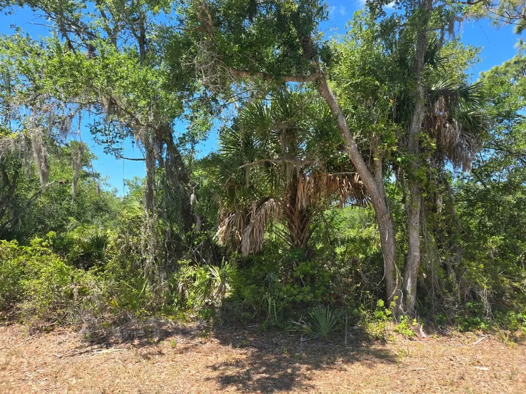 3137 Calexico Street Port Charlotte FL 33948