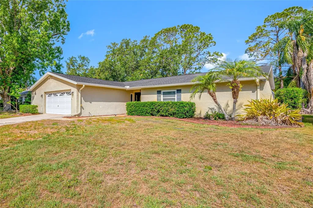 4448 Ranchwood Lane Tampa FL 33624