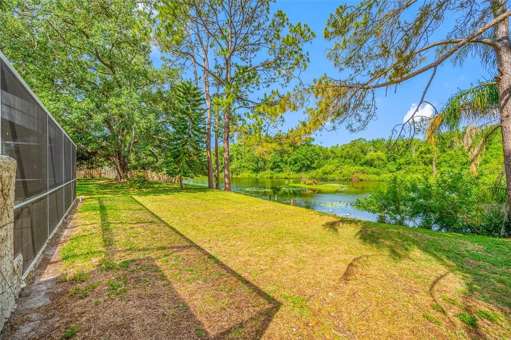 4448 Ranchwood Lane Tampa FL 33624