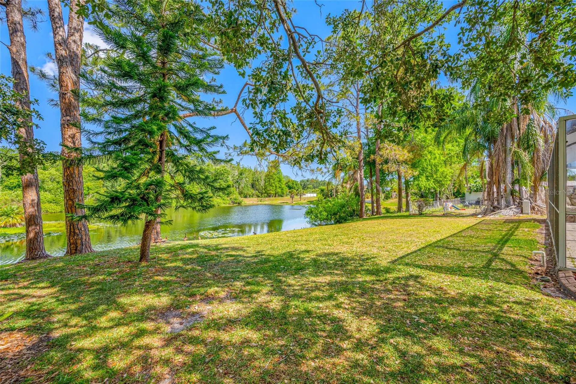 4448 Ranchwood Lane Tampa FL 33624
