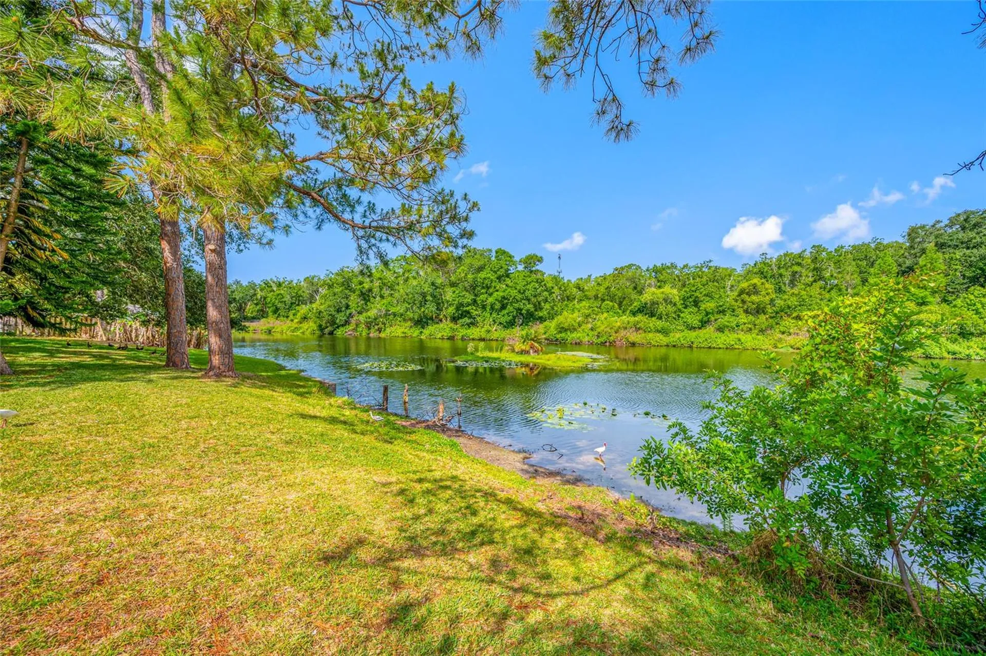 4448 Ranchwood Lane Tampa FL 33624