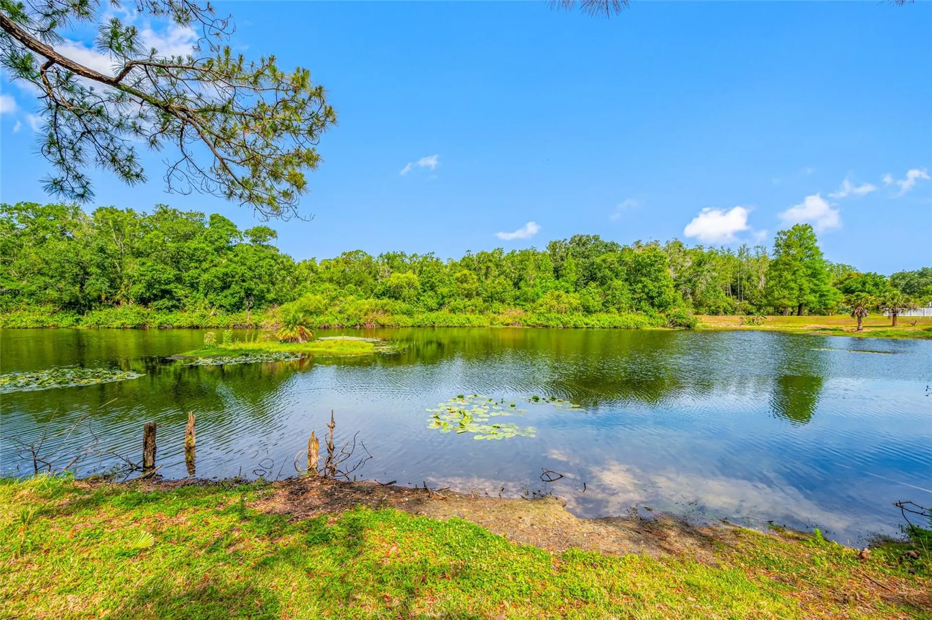 4448 Ranchwood Lane Tampa FL 33624