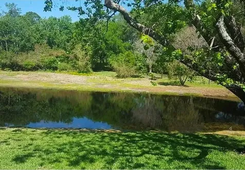 4730 Wrentham Place Palm Harbor FL 34685