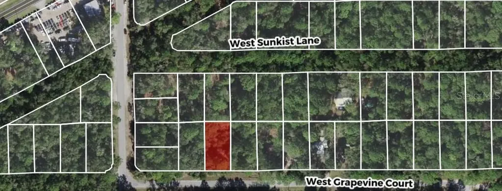 2949 W Grapevine Court Dunnellon FL 34433