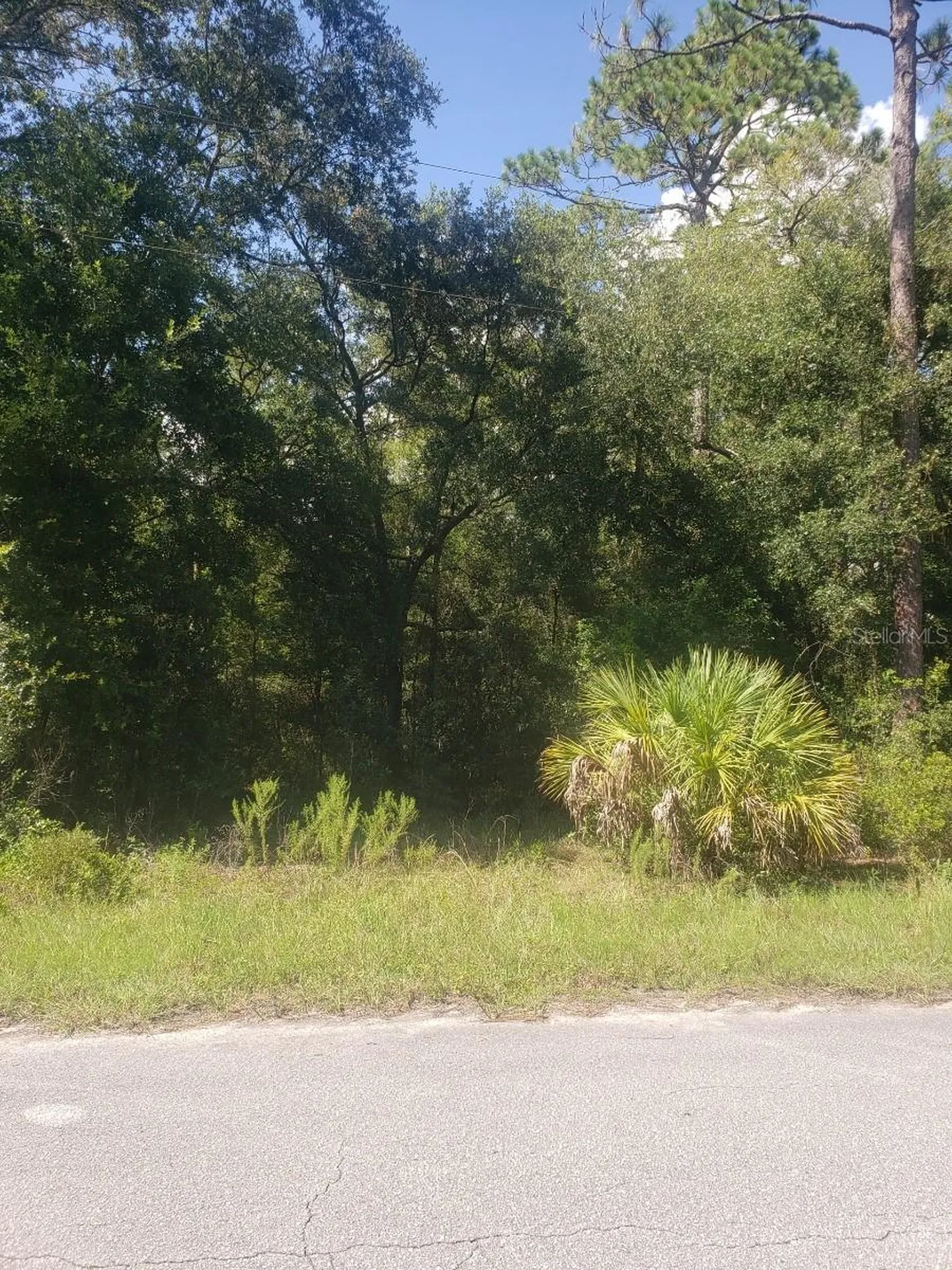 2949 W Grapevine Court Dunnellon FL 34433