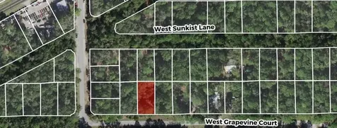 2949 W Grapevine Court Dunnellon FL 34433