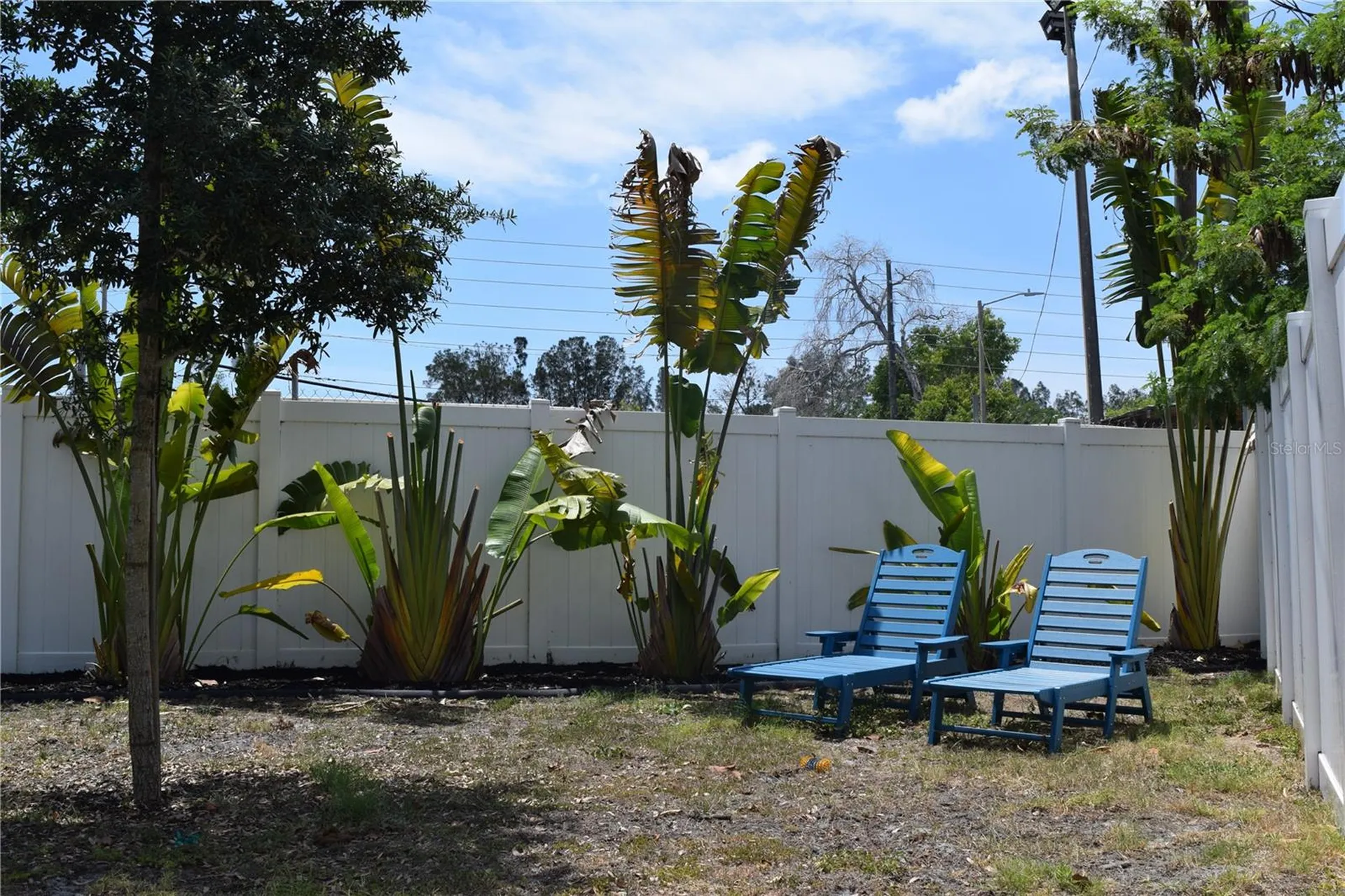6534 Wayne Street St Petersburg FL 33702