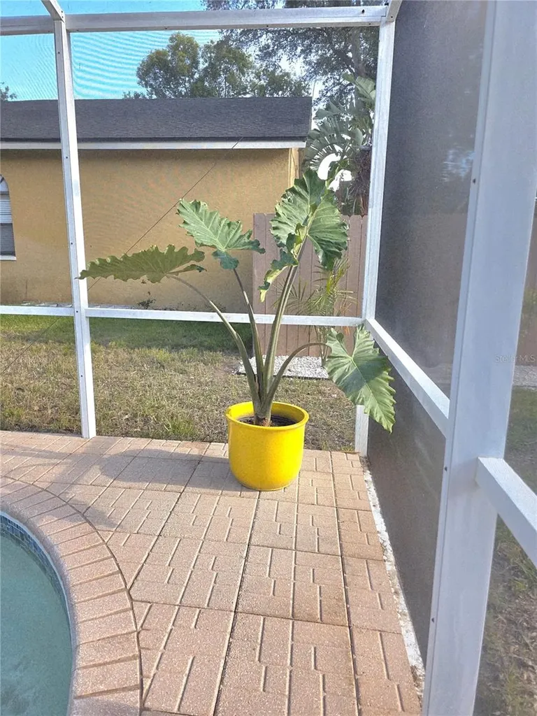 2796 Challenger Drive Palm Harbor FL 34683