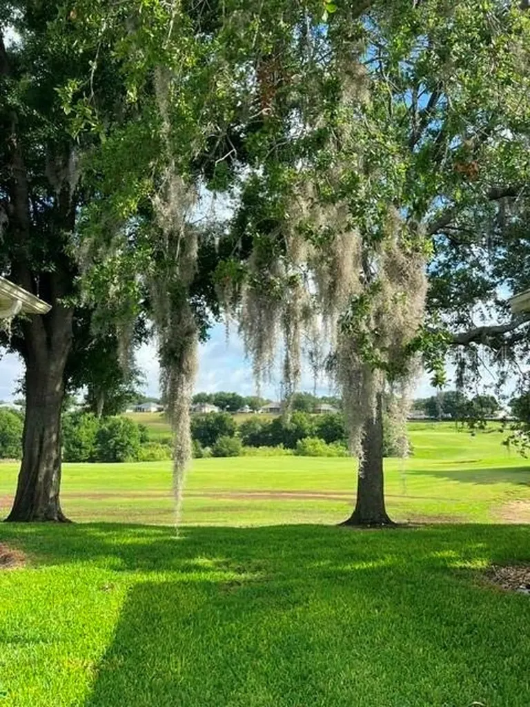 3000 Pinnacle Court Clermont FL 34711