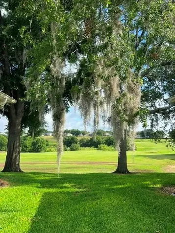 3000 Pinnacle Court Clermont FL 34711