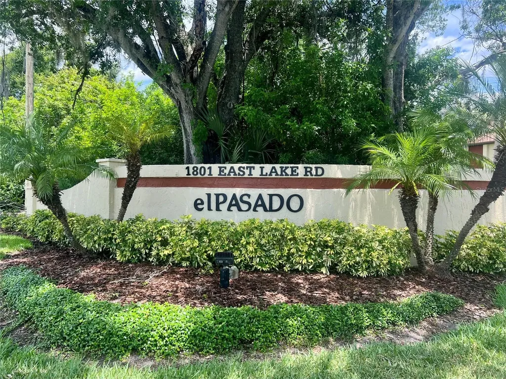 1801 E Lake Road Palm Harbor FL 34685