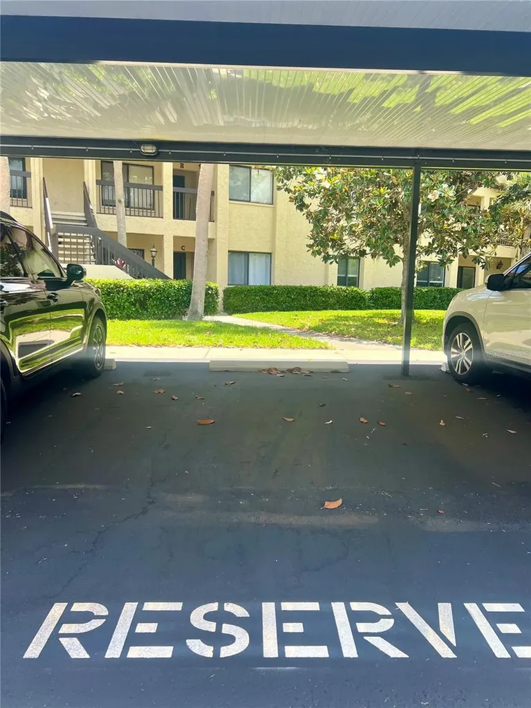 1801 E Lake Road Palm Harbor FL 34685