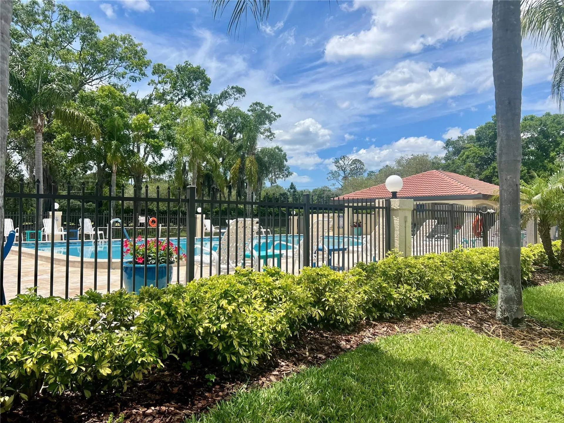 1801 E Lake Road Palm Harbor FL 34685