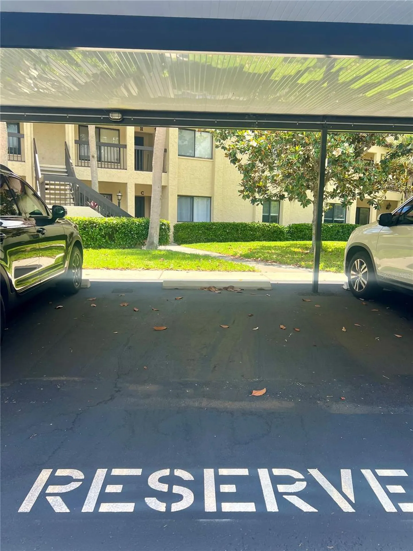 1801 E Lake Road Palm Harbor FL 34685
