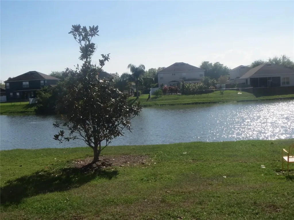 6925 Towering Spruce Drive Riverview FL 33578