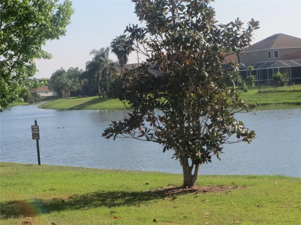 6925 Towering Spruce Drive Riverview FL 33578