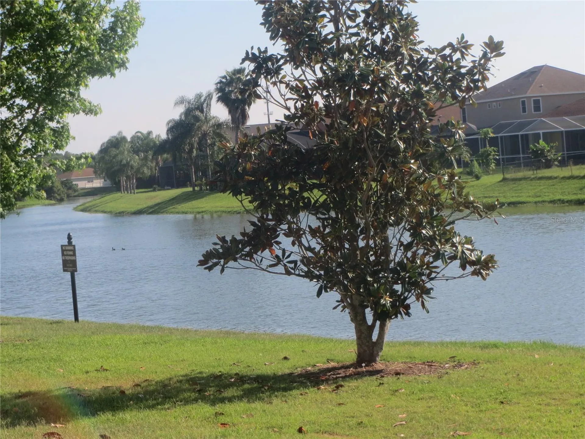 6925 Towering Spruce Drive Riverview FL 33578