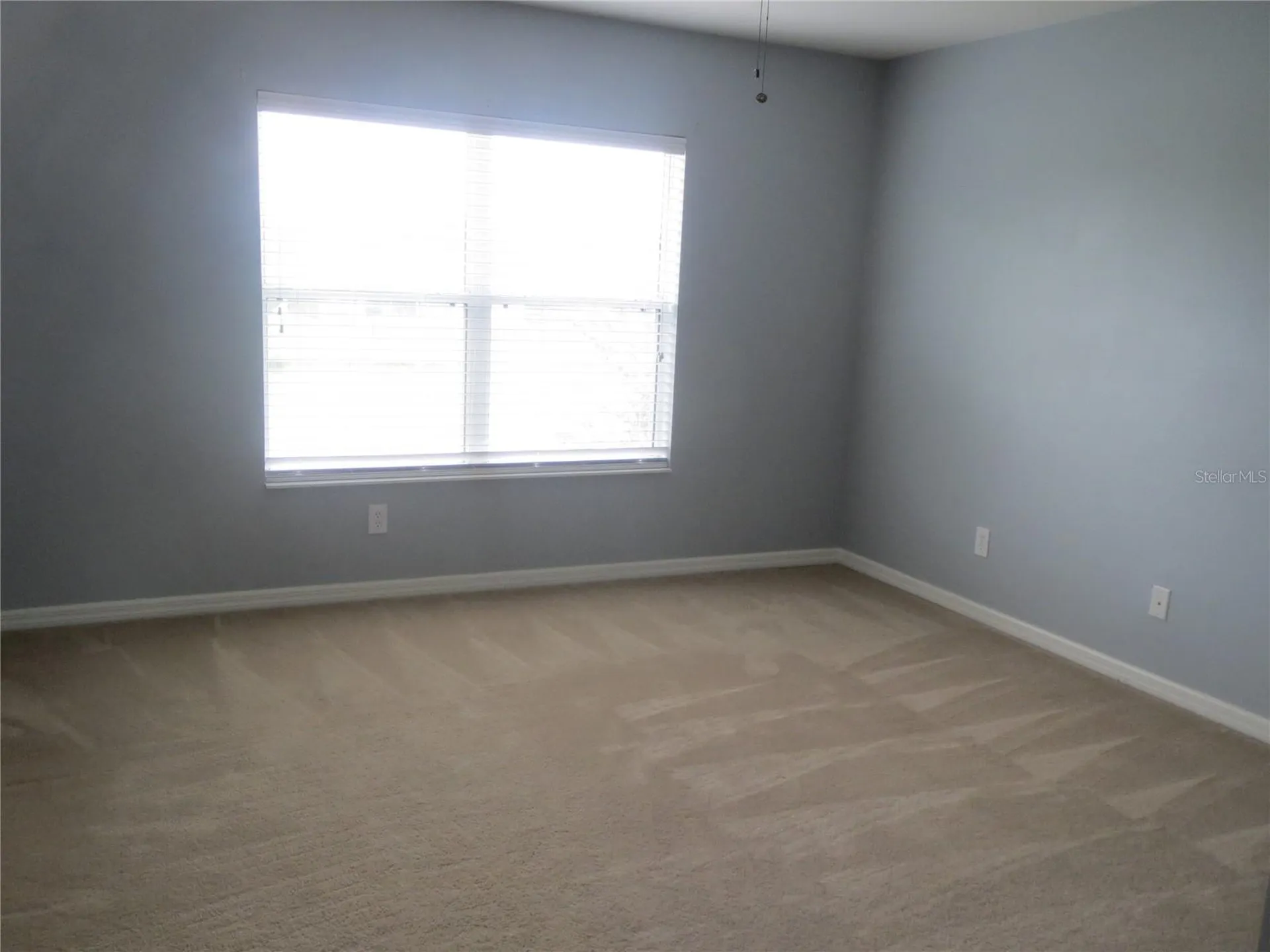 6925 Towering Spruce Drive Riverview FL 33578