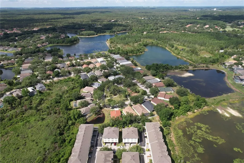10144 Arbor Run Drive Tampa FL 33647